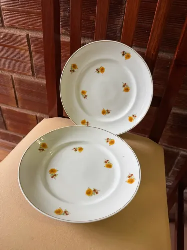 Pratos em Porcelana