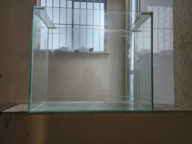 Aquário 60x50x25 cm