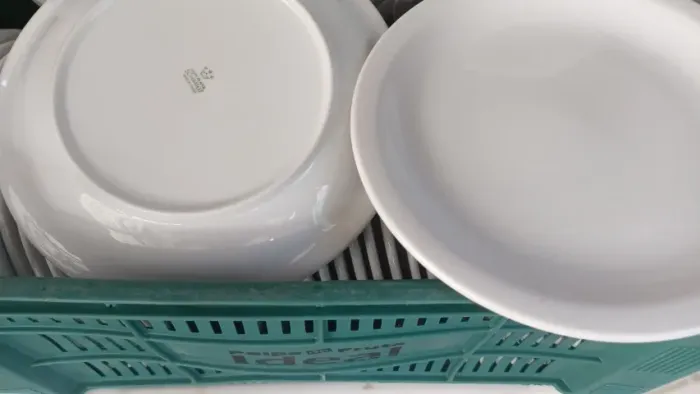Platos para restaurante, pizzaria e buffet