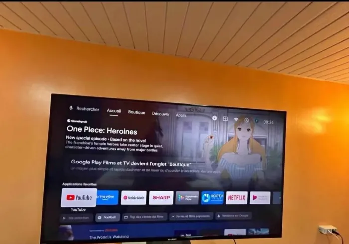 Sharp 55" impecável