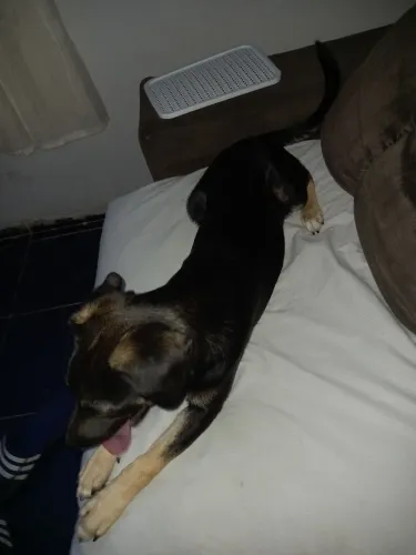 DOAÇÃO