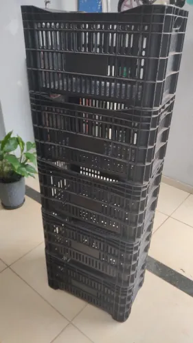 Caixas Plasticas 5 unidades