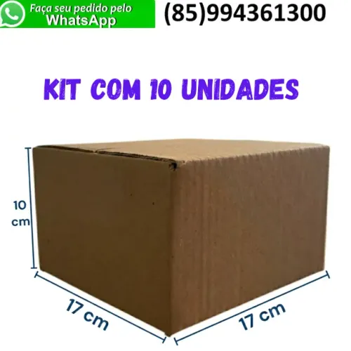 Caixas de Papelão Ondulado 17x17x10cm (10 unidades)