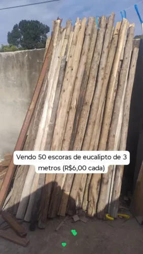 Escoras de Eucalipto (3 metros) - Madeira para Obra