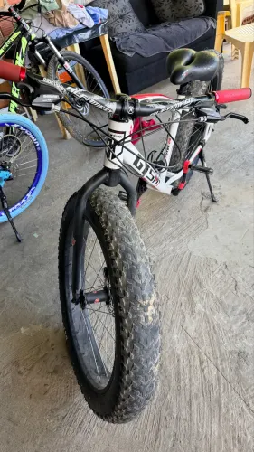 Fat bike 