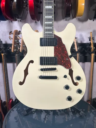 guitarra Semi Acu?stica Waldman