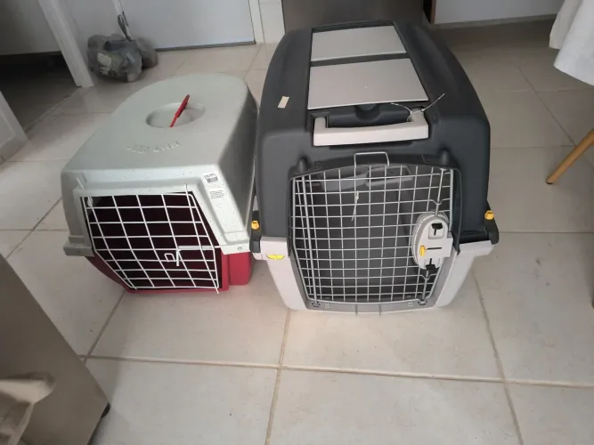 Caixa de transporte para cachorro - Gulliver
