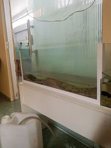 Aquário