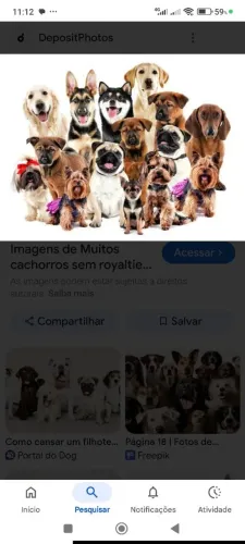 PASSEIO COM SEUS FILHOS DE 4 PATAS ?