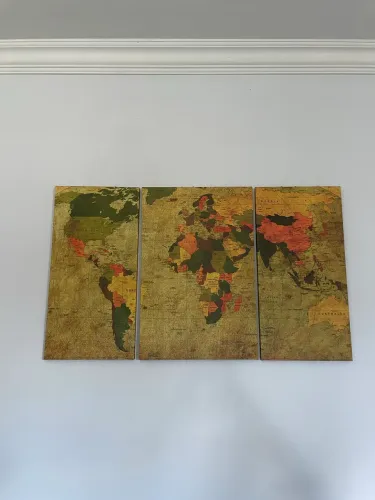 Quadro Mapa Mundi - Cartesiano