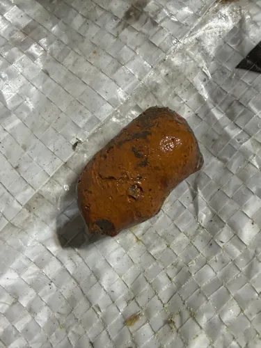 Argila expandida
