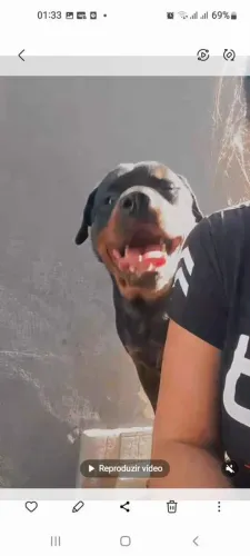 Doação 