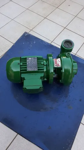 Motobomba d'água Thebe trifásico 