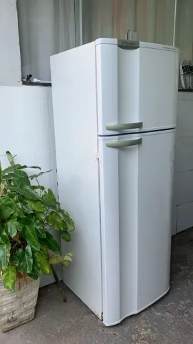 Electrolux Cycle Defrost 2 Portas