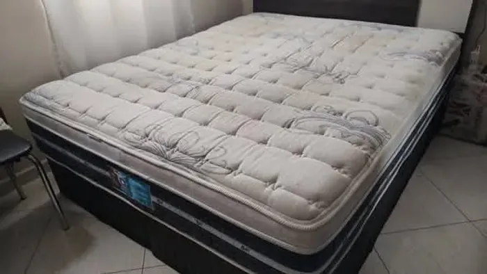 COLCHÃO QUEEN CASTOR MOLAS ENSACADAS