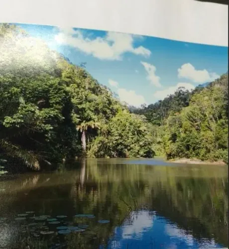 Fazenda à Venda no Vale do Iguape - Cachoeira - BA