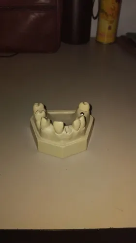 Manequim de implantodontia odontológico 