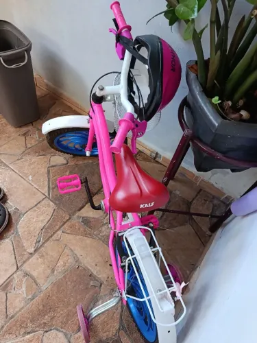 Bicicleta