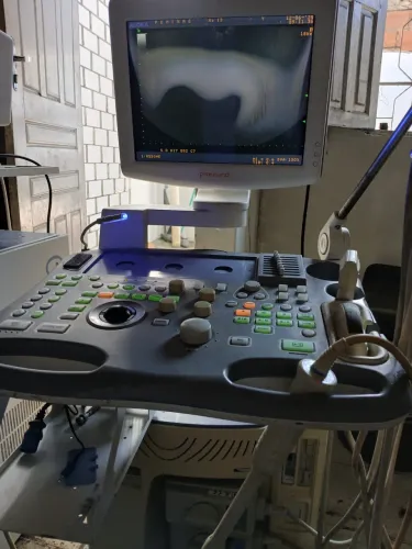 Ultrassom