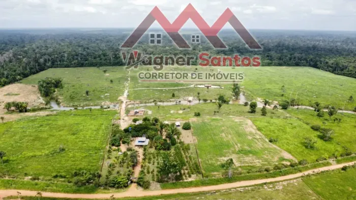 Fazenda à Venda com 200 ha - Estrada Transpurus - Linha 07 - Canutama - AM
