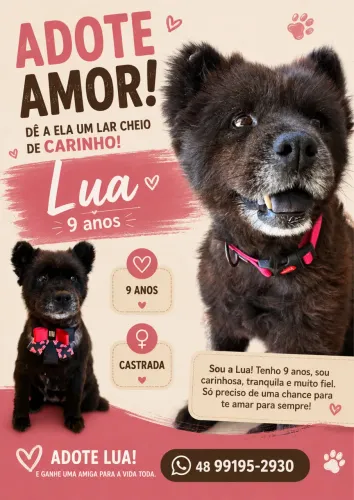 Adote a luazinha!