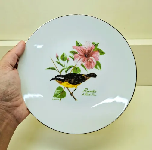 Prato em porcelana puerto rico 