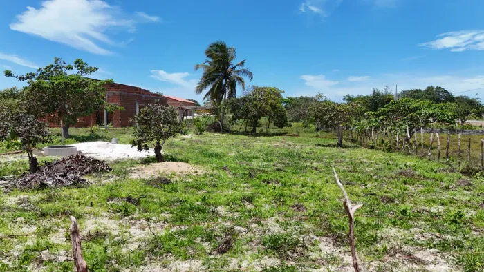 Terreno no Preá de frente pra Lagoa e perto do mar