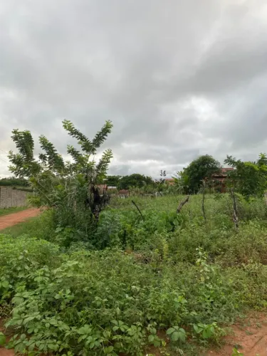 Terreno à venda tamanho 30x20 no Loteamento Sebastiana Gaia - Palmeira dos Índios