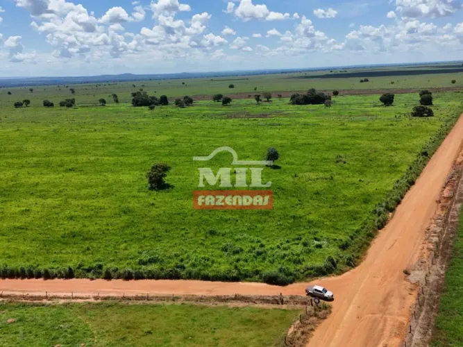 Fazenda 73,7 Alqueires (356,9 hectares) Montes Claros de Goiás - GO