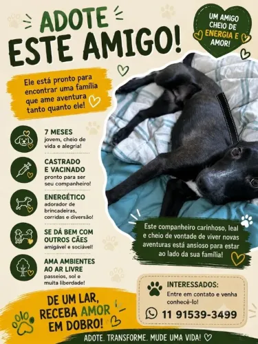 Filhote Jornandes Porte Pequeno