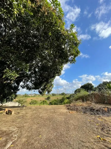 Terreno com 1.350 m² em Aldeia | Murado | 15 min do Aldeia Green Park
