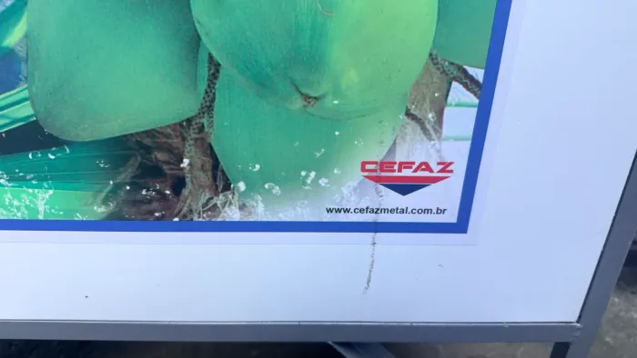 Carrinho de coco