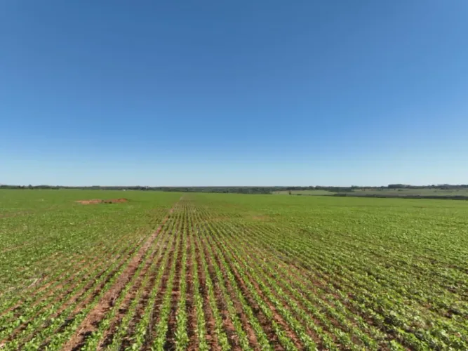 Fazenda a venda no Paraguai!!!