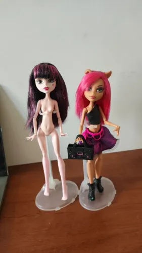 Draculaura e Howleen sucatas