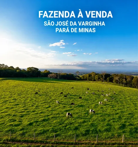 Fazenda 53ha Riquíssima em Água, Vista Incrível, 2km do Asfalto, Terra Vermelha