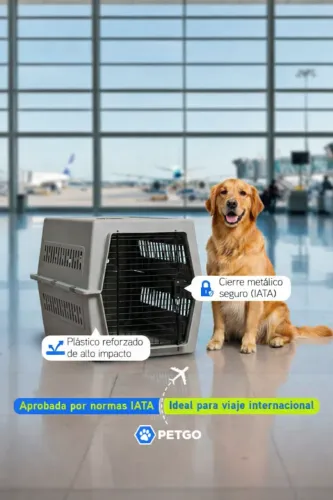 Caixa de Transporte para Cachorro (Viagem) - Semi Nova