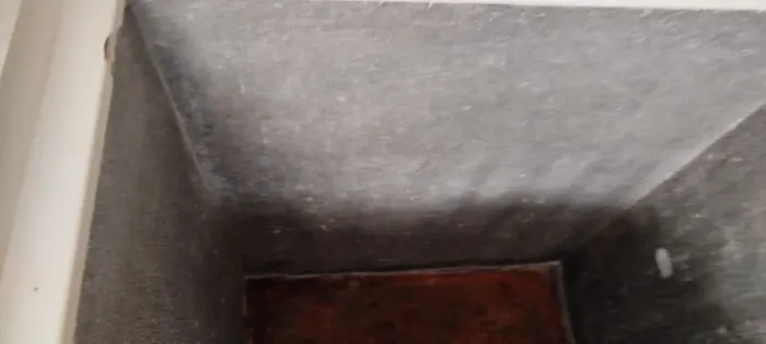 Freezer horizontal