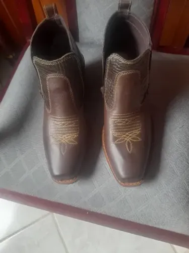 Bota nova 