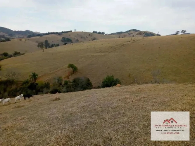 Sítio de 20 alqueires, casa sede, casa caseiro, curral, nascentes. Cambuí-MG. Estuda permu