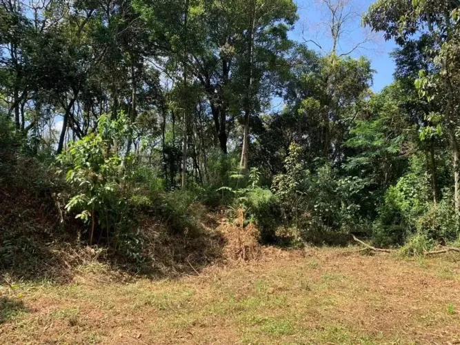Terreno à venda, 5000 m² por R$ 150.000,00 - Jardim Arpoador - Francisco Morato/SP