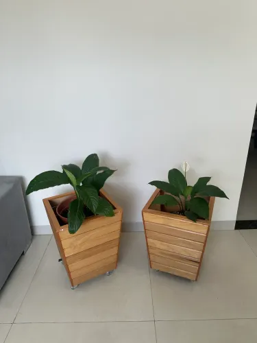 Vaso, cachepô suporte para plantas madeira maciça 