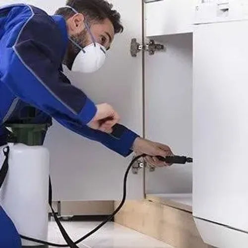 DEDETIZAÇÃO POTENGY 