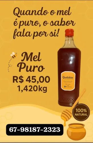 Mel puro de Abelha 