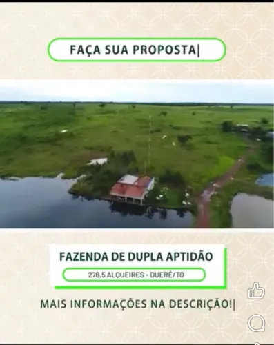 Fazenda no Tocantis município  Duere 