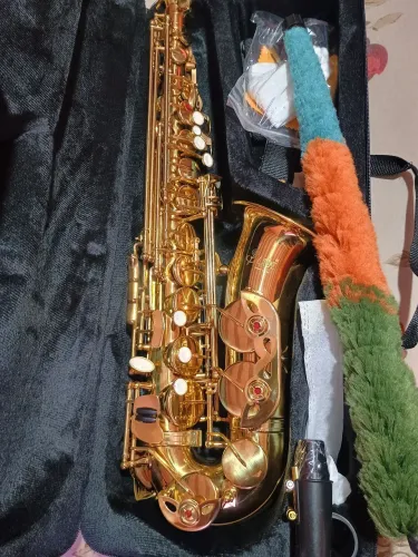 Saxofone alto Dourado Profissional - Som Incrível! Slade