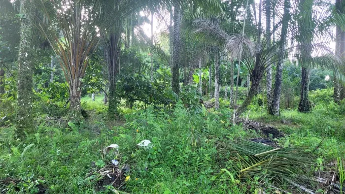 Vendo maravilhoso sítio em Valença 