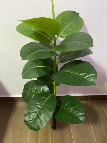 Ficus Lyrata / Planta Artificial