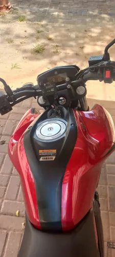 Fz15 2024