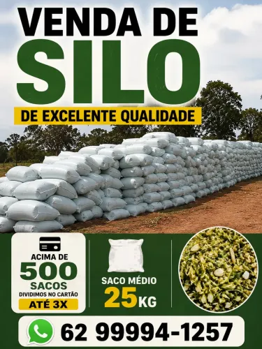 Venda de Silo com Milho