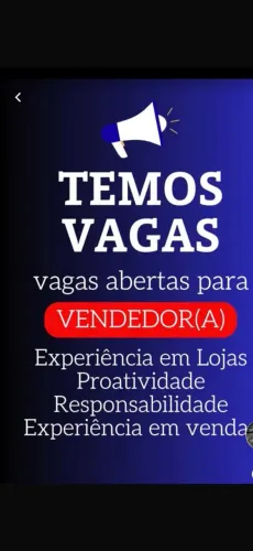 Vendedor de auto peças com experiência